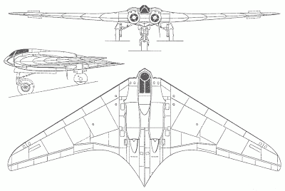 Horten Wing technical drawing.